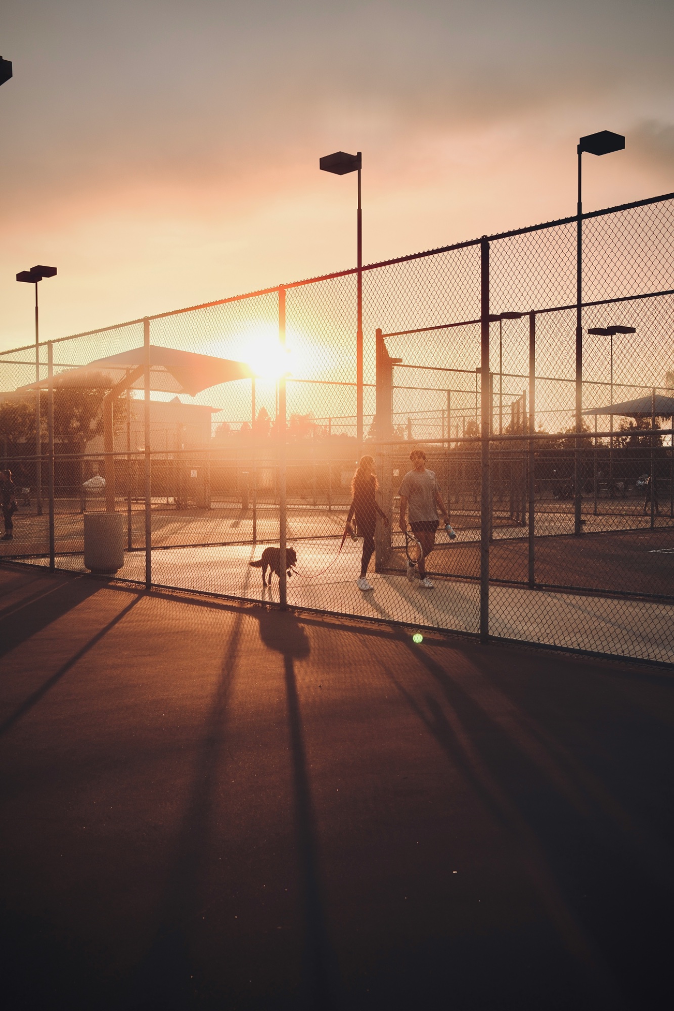 Courts at sunset